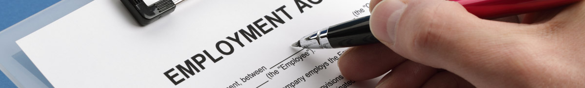 Employment Litigation header graphic